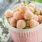200 PCS Seeds Light Red Pineberry with White Berries