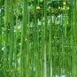 30 PCS Seeds Short Loofah Organic