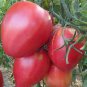 200 PCS Seeds Pink King Tomato
