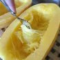 60 PCS Seeds Heirloom Spaghetti Squash Vegetable