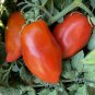 200 PCS Seeds 'Opalka' Organic Polish Heirloom Tomato
