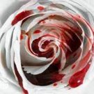 100 PCS Seeds Rare Heirloom White Shrub Flower True