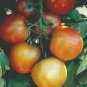 200 PCS Seeds Tumbling Tomato Seeds