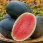 20 PCS Seeds Hybrid Black Skin Oval Shape Watermelon