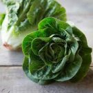 240 PCS Seeds Cream Lettuce Seeds Butter Head Little Gem Organic