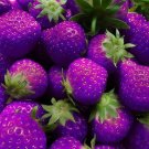 200 PCS Seeds Mixed 9 Types of Rare Delicious Strawberry 200 PCS Seeds Mixed 9 Types of Rare Delicious Strawberry