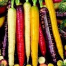 200 PCS Seeds Rare Heirloom Daucus Carota Mixed Carrot Organic Vegetables