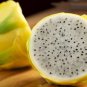 200 PCS Seeds Dragon Fruit Pitaya Red (White, Yellow) Organic