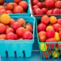 200 PCS Seeds Heirloom Mini Bright Red Cherry Tomato Fruits