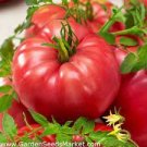 200 PCS Seeds Tomato Mixed Giant Vegetable