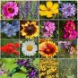 Wildflower Royal Meadow Annual Butterflies Non Gmo 350 Pure Seeds Fresh Garden