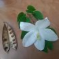 White Bauhinia Acuminate Dwarf Snowy Orchid Tree 10 Authentic Seeds Fresh Garden