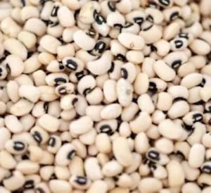Black Eyed Pea Seeds 70+ Seed Heirloom Gmo Fresh Garden