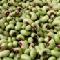 Pink Eye Purple Hull Peas (Southern Cowpeas) Seed Fresh Garden