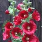 50 Hollyhock Country Romance Mix Alcea Rosea Flower Seeds Fresh Garden