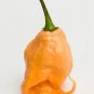 10 Peach Carolina Reaper Pepper World'S Hottest Capsicum Chinense Chili Seeds Fresh Garden