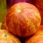 15 Tigger Tiger Melon Edible Muskmelon & Ornamental Vine Cucumis Melo Seeds Fresh Garden