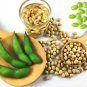 20 Organic Midori Giant Soybean Edamame Glycine Max Green Bean Vegetable Seeds Fresh Garden