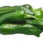 50 Shishito Pepper Green To Red Mild Japanese Chili Capsicum Vegetable Seeds Fresh Garden