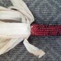 20 Medium 'Burnt Orange' Corn Dark Orange Ornamental Zea Mays Vegetable Seeds Fresh Garden