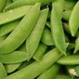 50 Mammoth Melting Sugar Pea Stringless Snow Pea Pisum Sativum Vegetable Seeds Fresh Garden