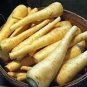 1000 All American Parsnip Pastinaca Sativa White Root Vegetable Seeds Fresh Garden