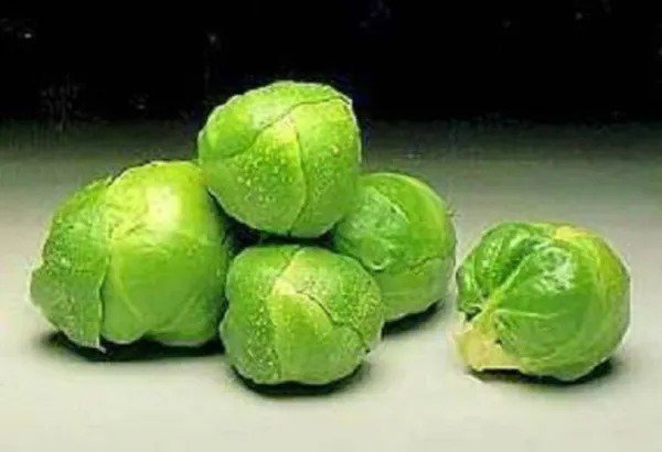 1000 Long Island Improved Brussel Sprouts Brassica Oleracea Vegetable Seeds Fresh