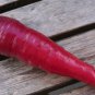 400 Cosmic Purple Carrot Daucus Carota Vegetable Seeds Fresh