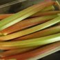 25 Glaskins Perpetual Rhubarb (Pieplant) Rheum Rhabarbarum Fruit Vegetable Seeds Fresh