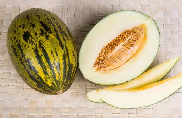 50 Piel De Sapo Melon Santa Claus Christmas Melon Green Cucumis Melo Fruit Seeds Fresh