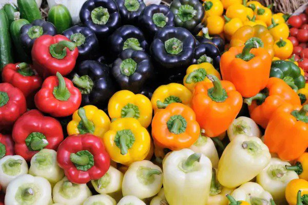 150 Rainbow Bell Pepper Sweet Red Green Yellow Orange Purple Brown White Seeds Fresh