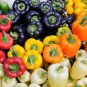 150 Rainbow Bell Pepper Sweet Red Green Yellow Orange Purple Brown White Seeds Fresh