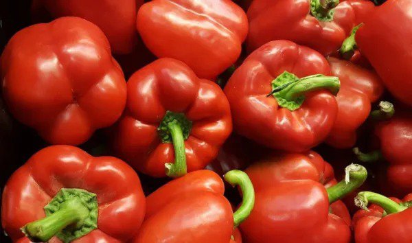 150 Big Red Bell Pepper Sweet Capsicum Annuum Vegetable Seeds Fresh