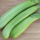 25 Louisiana Long Green Eggplant Solanum Melongena Fruit Vegetable Seeds Fresh