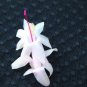 Christmas Cactus Starter Plant Mother'S Day Schlumbergera Truncata Fresh Garden