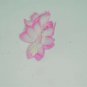 Christmas Cactus Starter Plant Pink Pearl Schlumbergera Truncata Fresh Garden