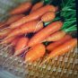 Carrot Seeds For Baby Carrots 200 Seeds Fresh Garden