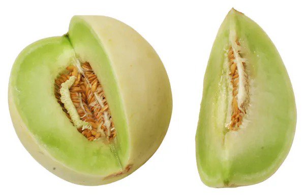 Fresh Melon Honey Dew Honeydew Non Gmo Green Flesh 65 Seeds Usa Garden