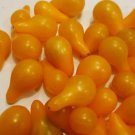 Fresh Tomato Yellow Pear Heirloom 85 Seeds Usa Buy Any 10 = Garden
