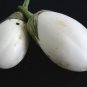 Fresh Wonder Eggs Eggplant White Wonder 25 Seeds Usa Garden