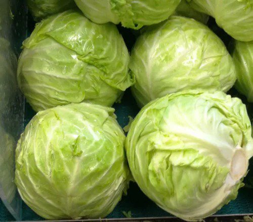 Fresh Cabbage Danish Ballhead 10 Lb Heads 175 Seeds Usa Garden