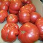 Fresh Tomato Rutgers Heirloom 42 Seeds Usa Garden