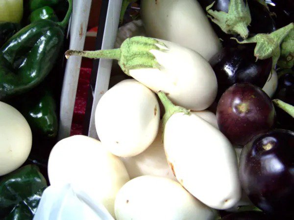 Fresh Eggplant White Casper Rare Heirloom 25 Seeds Made In Usa Garden