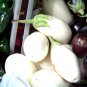 Fresh Eggplant White Casper Rare Heirloom 25 Seeds Made In Usa Garden
