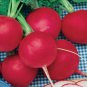 Fresh 301+ German Giant Radish Seeds Organic Heirloom Vegetable Mild Garden