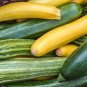 Fresh 31+ Zucchini Summer Squash Seeds Black Beauty Organic Heirloom Garden