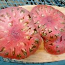 Fresh 100+ Hungarian Sweet Wax Pepper Seeds Organic Vegetable Banana Garden