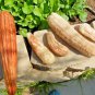 Fresh 30+ Muncher Cucumber Seeds Organic Summer Vegetable Patio Garden