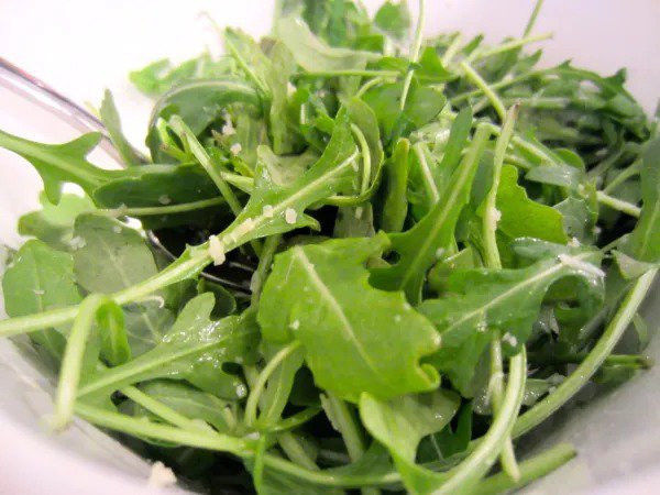 Fresh 600+ Arugula Roquette Seeds Organic Spring Fall Patio S Garden