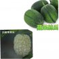 Fresh 10 Apple Bittermelon F1 & 10 Apple Luffa F1 Seeds Garden